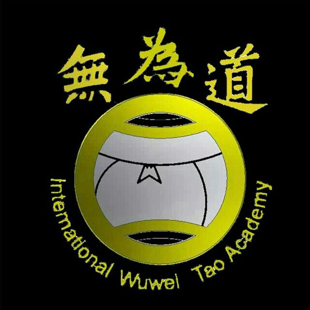 کانال تلگرام هنرهای رزمی وو وی تائو
