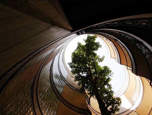 این آپارتمان در تهران بدون قطع کردن حتی یک درخت در اطراف آن ساخته شده است
