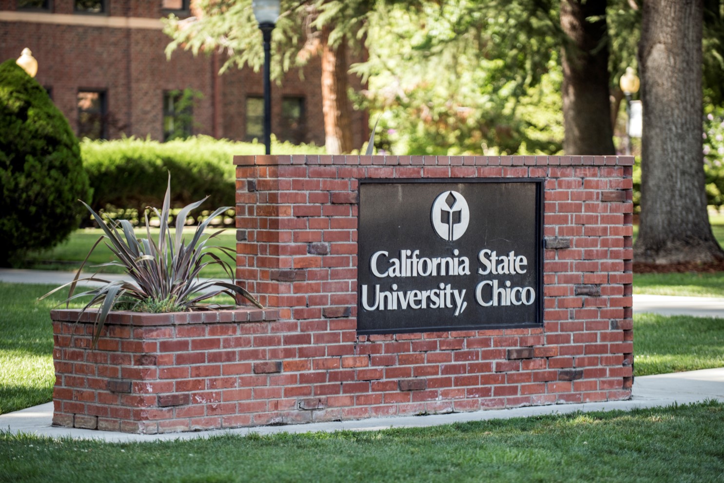 یوزر پسورد دانشگاه California State University Chico  آمریکا