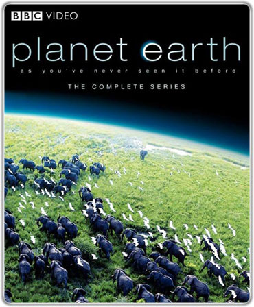 خرید اینترنتی سی دی مستند سیاره زمین و حیات وحش