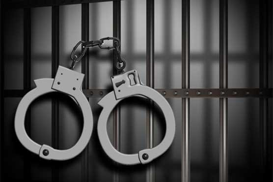 دستگیری 12 عضو باند یک‌ شرکت‌ هرمی در پرند