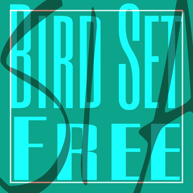 دانلود آهنگ Sia به نام Bird Set Free