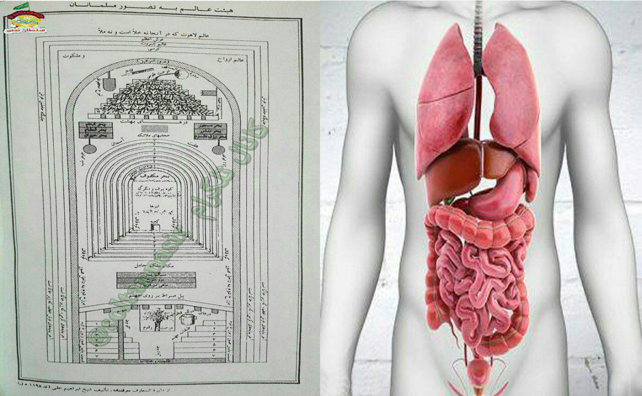 تصویر تطابق اندام های بدن با نقشه عالم .