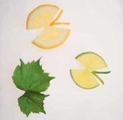 آموزش تزیین لیمو ترش