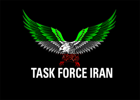 عضویت در کلن Task Force Iran