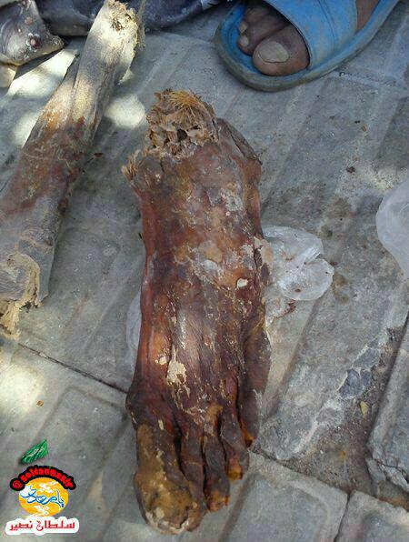 اسکلت بزرگ پای یک انسان یافته شده در شهداد