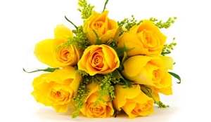 eight yellow flowers to show affection to your friends 