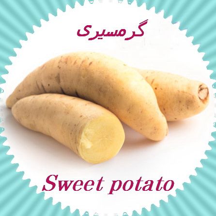 سیب زمینی شیرین (Sweet potato )