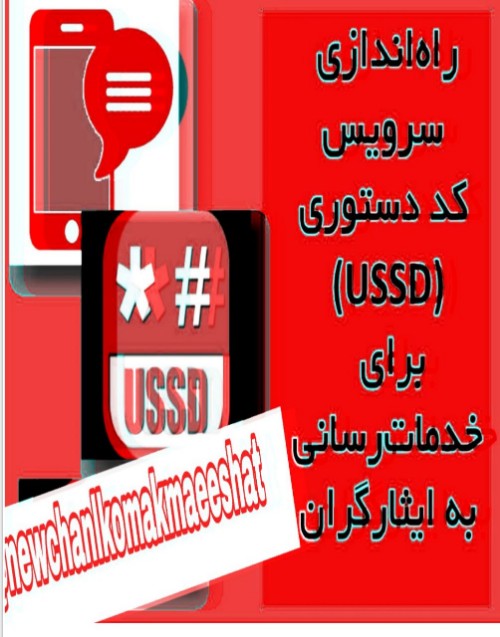 مدیر کل آمار وفناوری اطلاعات بنیاد شهید از راه اندازی کد دستوری ( ussD)برای خدمات  رسانی ایثارگران 
