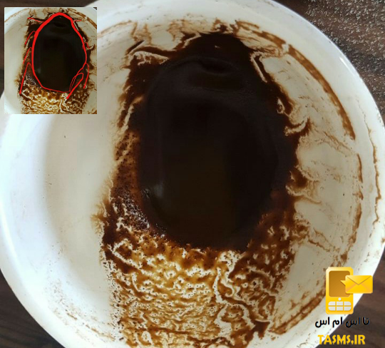 تفسیر و معنی شکل سوسک در فال قهوه