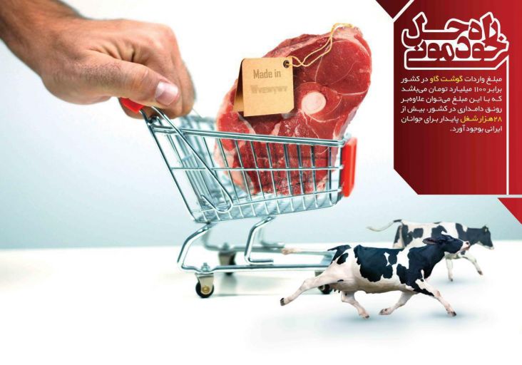 خرید گوشت ایرانی
