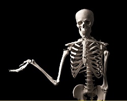 پاورپوینت استخوان شناسی Osteology