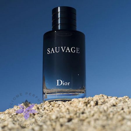 ادکلن دیور ساواج اصل Dior Sauvage