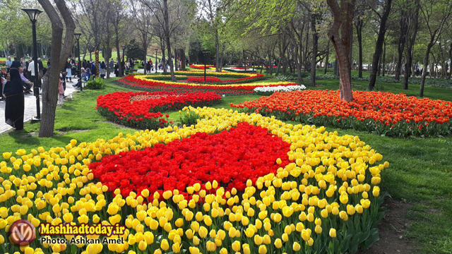 گزارش تصویری جشنواره گل های لاله در پارک ملت