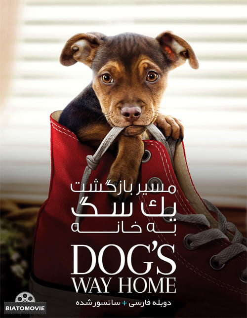 دانلود فیلم A Dogs Way Home 2019 مسیر بازگشت یک سگ به خانه با دوبله فارسی