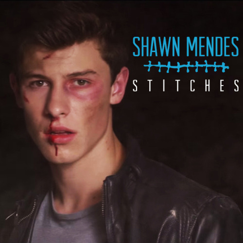 ترجمه اهنگ Stitches از Shawn Mendes