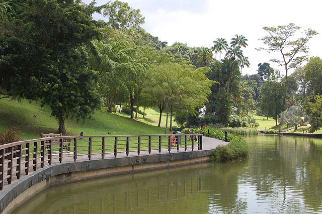 باغ گیاهشناسی سنگاپور