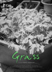 دانلود فیلم Grass 2018