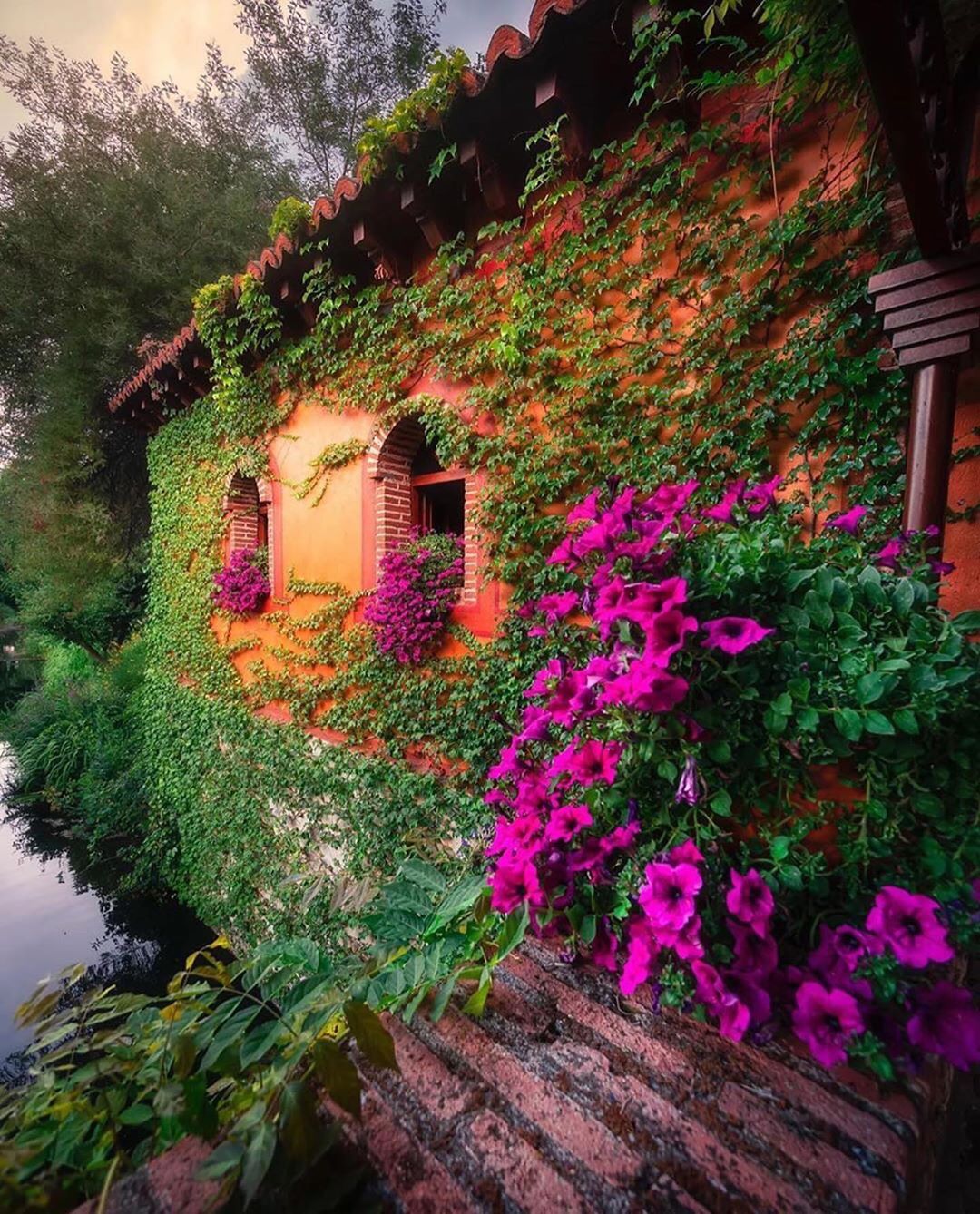  نمای ساختمان با گل و گیاه 