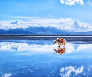 جاذبه گردشگری دریاچه نمک چاکا ؛ آینه آسمان در چین