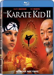 دانلود دوبله فارسی فیلم پسر کاراته The Karate Kid II 1986