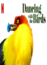 دانلود مستند رقص با پرندگان Dancing with the Birds 2019 BluRay
