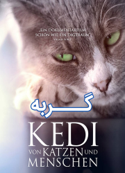 دانلود مستند گربه با دوبله فارسی Kedi 2016