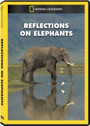 دانلود دوبله فارسی مستند فیل ها Reflections On Elephants 1994