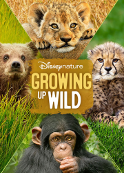 دانلود رایگان مستند چالش رشد حیوانات Growing Up Wild 2016