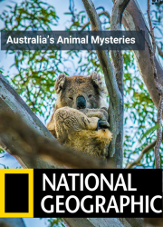 دانلود دوبله فارسی مستند اسرار جانوران استرالیا Australia's Animal Mysteries 1984