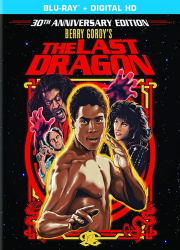 دانلود دوبله فارسی فیلم آخرین اژدها The Last Dragon 1985
