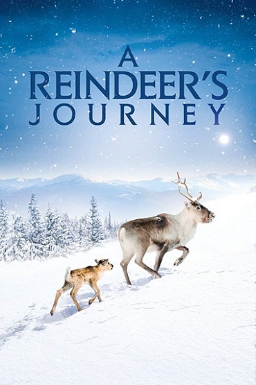 A Reindeer’s Journey 2018
