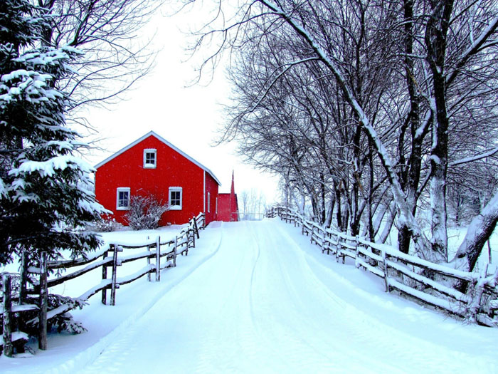انشا زمستان؛ 5 انشای زیبا در مورد فصل زمستان برای دانش آموزان