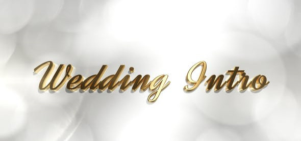 دانلود پروژه آماده افترافکت : کلیپ عروسی Wedding Intro
