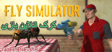 دانلود بازی آنلاین  Fly Simulator