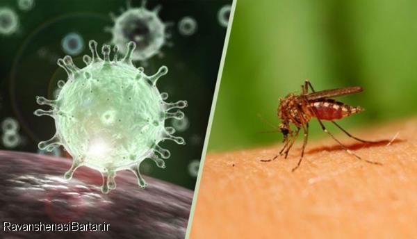آیا با داروی مالاریا بیماری کرونا درمان می شود؟