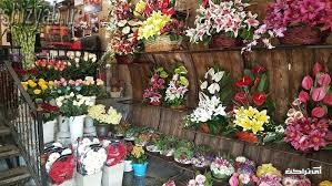 گل فروشی های شیراز 
