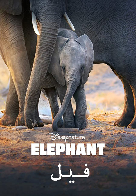 دانلود مستند فیل دوبله فارسی Elephant 2020