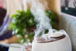 چهار روش براي مرطوب کردن هواي خانه