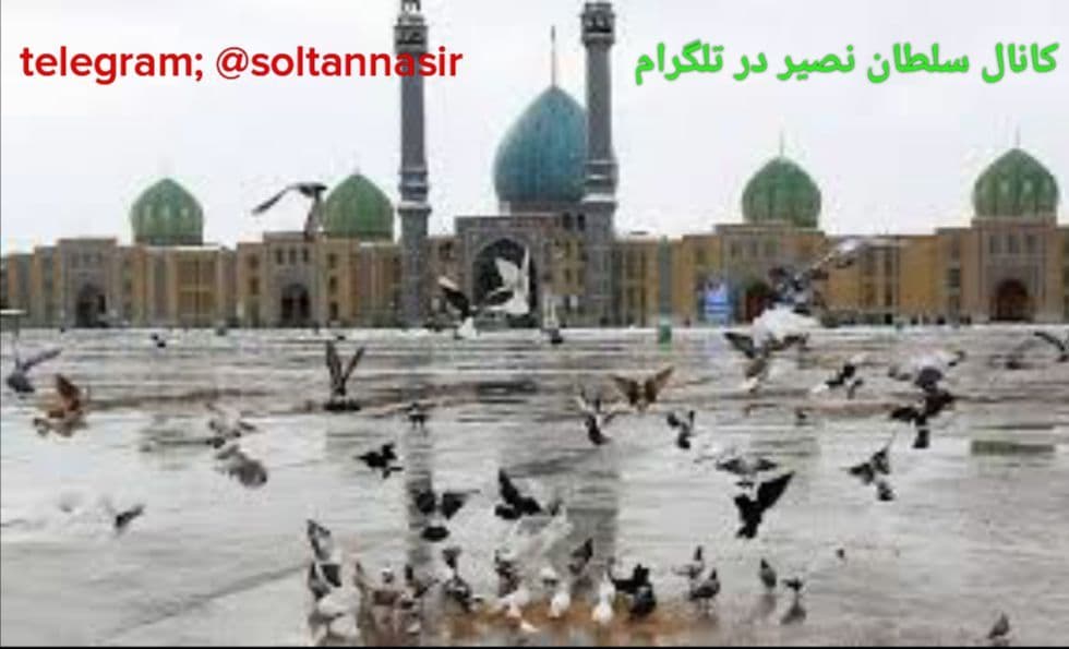 تصویر زیبای کبوتران در مسجد مقدس جمکران 