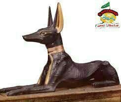 تصویر سگ مصری که آنوبیس با آن مرتبط است 