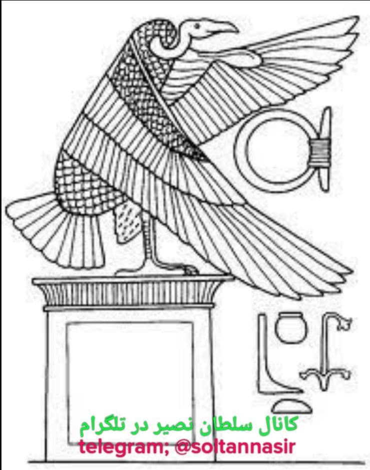 تصویر کرکس خاص مصری که‌ حیوان منسوب به ایزدبانوی نخبت بوده