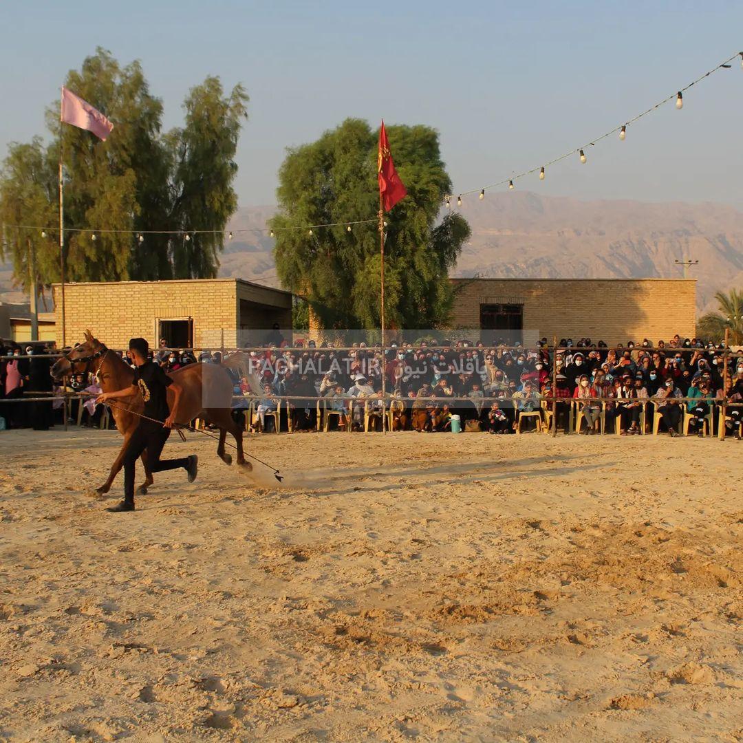 نخستین جشنواره ملی اسب دره شوری در روستای پاقلات برگزار شد