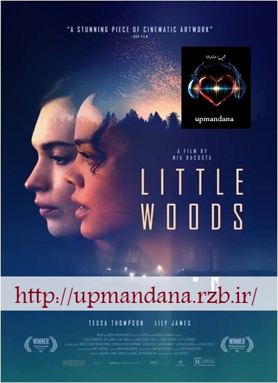 دانلود دوبله فارسی فیلم جنگل کوچک Little Woods 2018