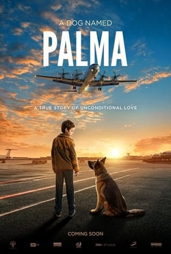  دانلود فیلم پالما Palma 2021 با دوبله فارسی