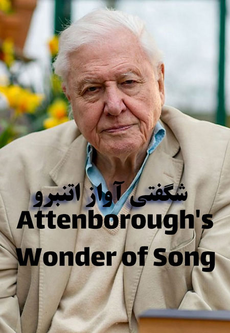 دانلود مستند شگفتی آواز اتنبرو Attenboroughs Wonder of Song 2022