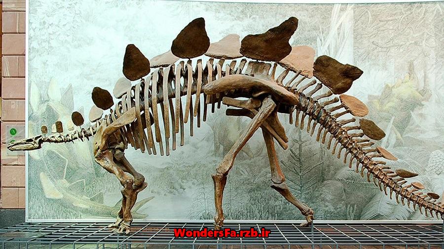 قدیمی ترین گونه دایناسور در آسیا شناسایی شد + تصاویر