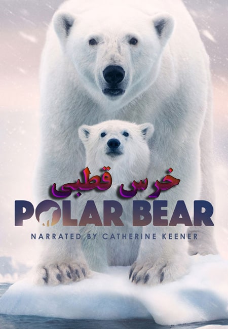 دانلود مستند خرس قطبی Polar Bear 2022