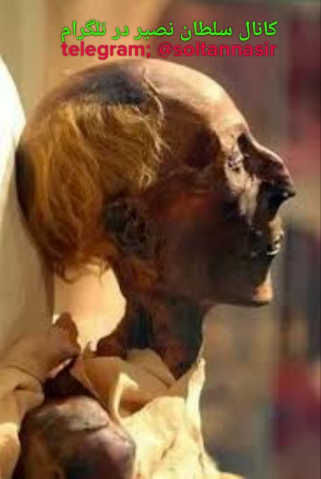 تصویر جنازه رامسس دوم فرعون