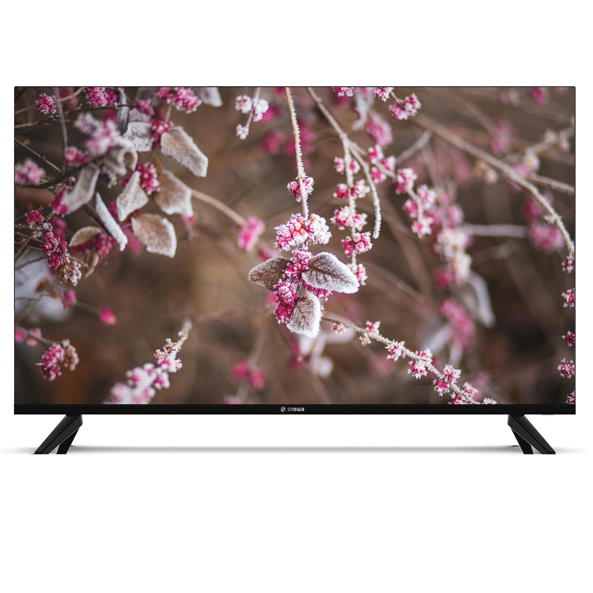 بهترین تلویزیون 55 اینچی 4k - بررسی تابستان 2022